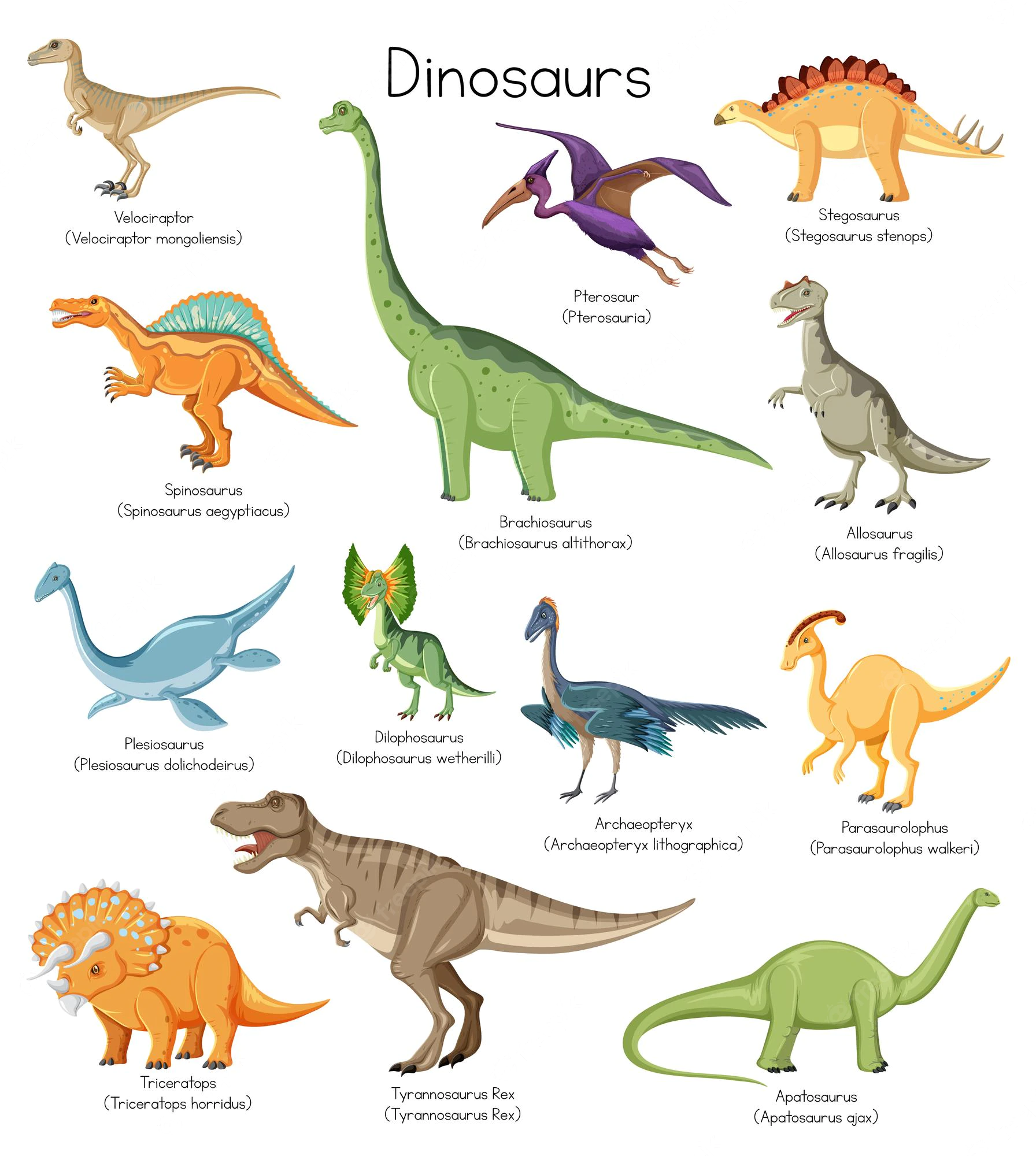 dinosaurs